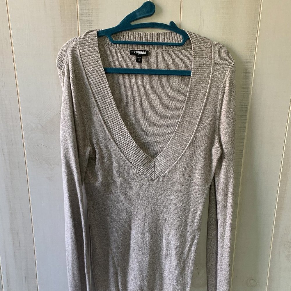 Express v-neck Sweater